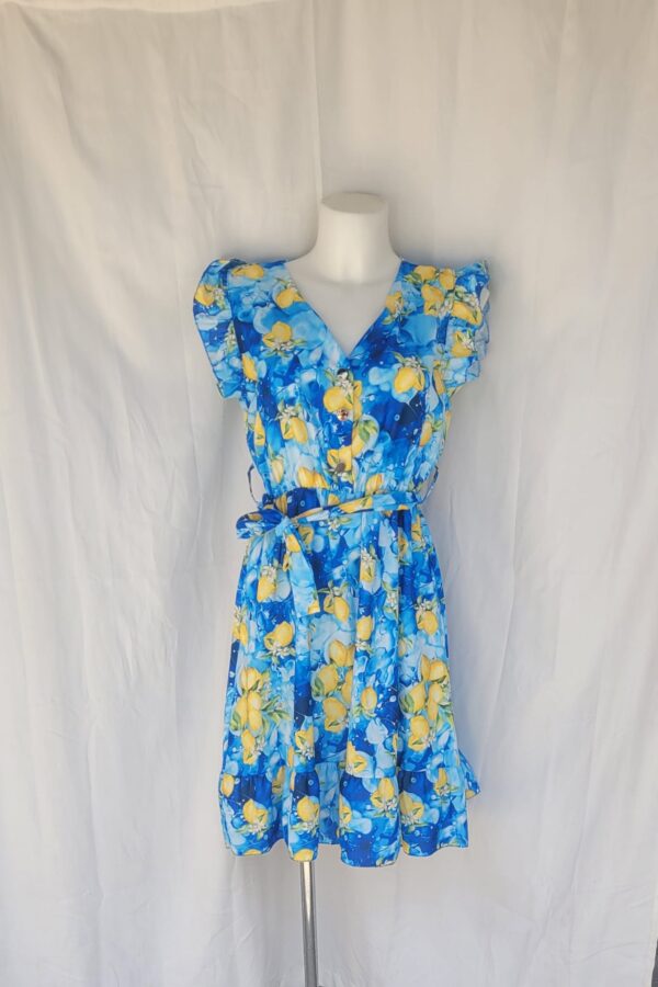 Rochie decolteu in V cu lamai